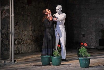 70. DLJI - GERANIUM, 20.08.2019. BY ZT - (34).JPG